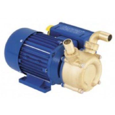 Transfer Pump